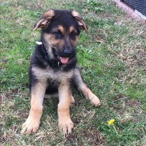 Meet your Posher, Beth